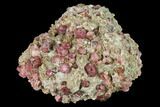 Raspberry Garnets (Rosolite) in Matrix - Mexico #168345-1